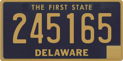 DE license plate 245165