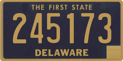 DE license plate 245173