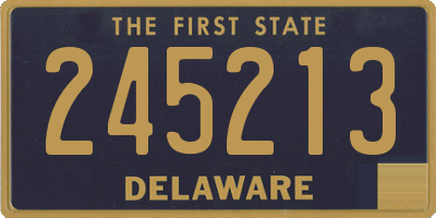 DE license plate 245213