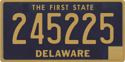 DE license plate 245225