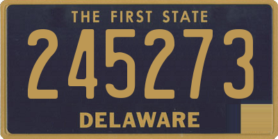 DE license plate 245273