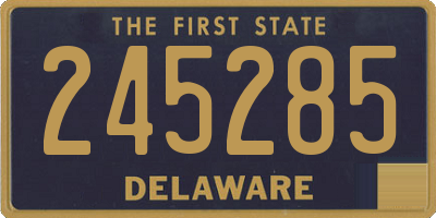 DE license plate 245285
