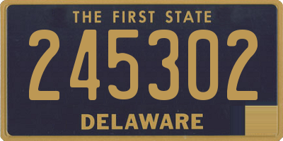 DE license plate 245302