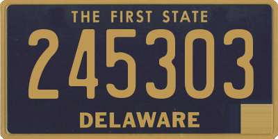 DE license plate 245303