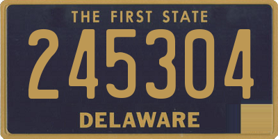 DE license plate 245304