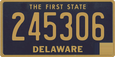 DE license plate 245306