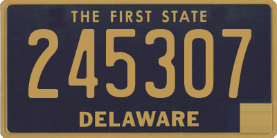 DE license plate 245307