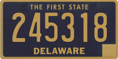 DE license plate 245318
