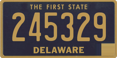 DE license plate 245329