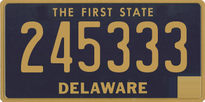 DE license plate 245333