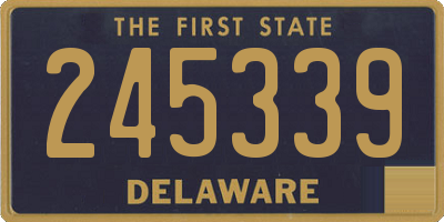 DE license plate 245339