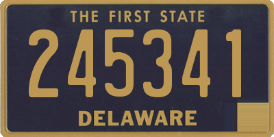 DE license plate 245341