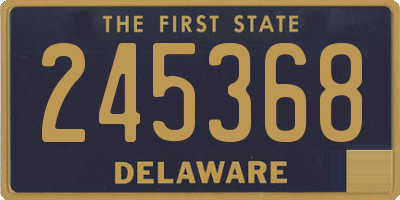 DE license plate 245368