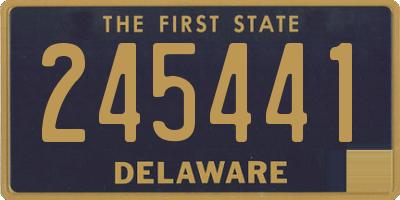 DE license plate 245441
