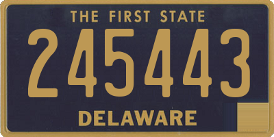 DE license plate 245443