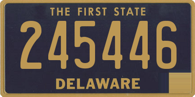 DE license plate 245446