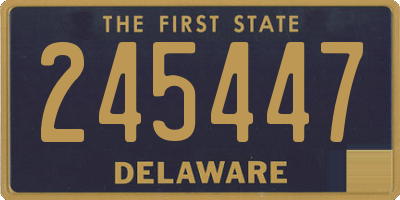 DE license plate 245447