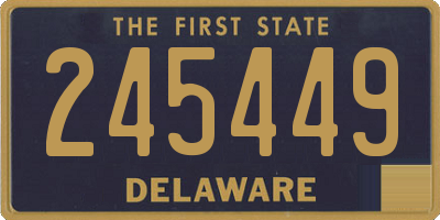DE license plate 245449