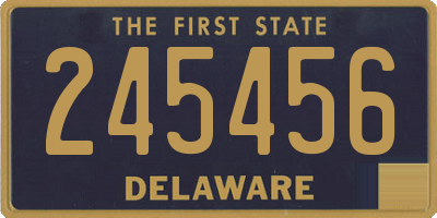 DE license plate 245456