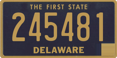 DE license plate 245481