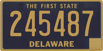DE license plate 245487