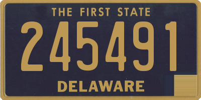 DE license plate 245491