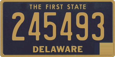 DE license plate 245493