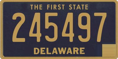 DE license plate 245497
