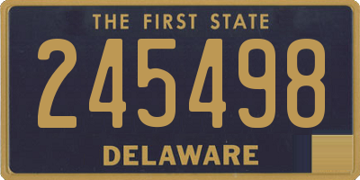 DE license plate 245498