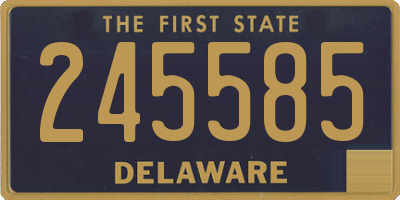 DE license plate 245585