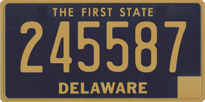 DE license plate 245587
