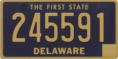 DE license plate 245591