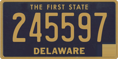 DE license plate 245597