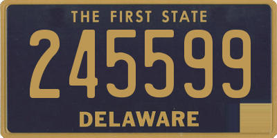 DE license plate 245599