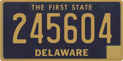 DE license plate 245604