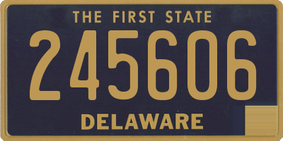 DE license plate 245606