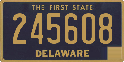 DE license plate 245608