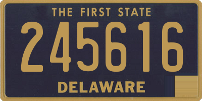 DE license plate 245616