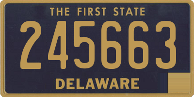 DE license plate 245663