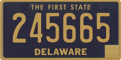 DE license plate 245665