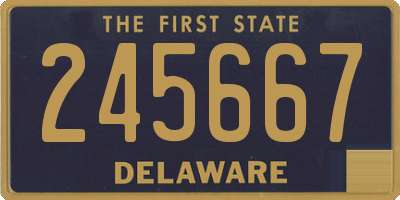 DE license plate 245667