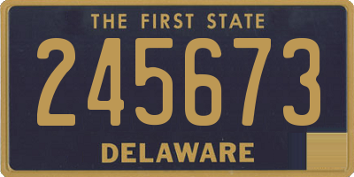 DE license plate 245673