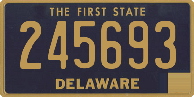 DE license plate 245693