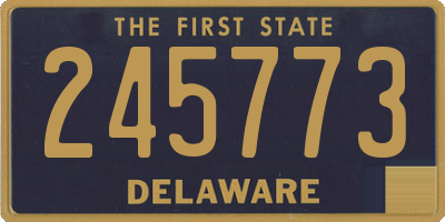 DE license plate 245773