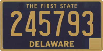 DE license plate 245793