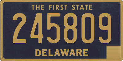 DE license plate 245809