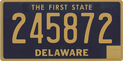 DE license plate 245872