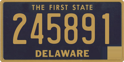 DE license plate 245891