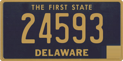 DE license plate 24593