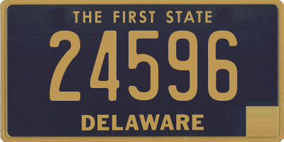 DE license plate 24596